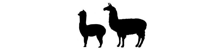 Alpaca's & Lama's